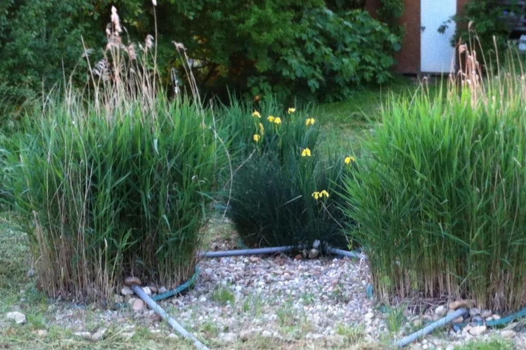 Appartement Neuf & Ecologique A La Campagne Marzens 외부 사진